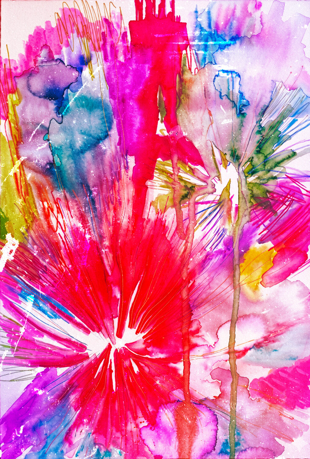 Fleurs d'artifices
